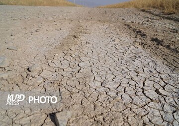  تنِ خشکیده ی  ایران