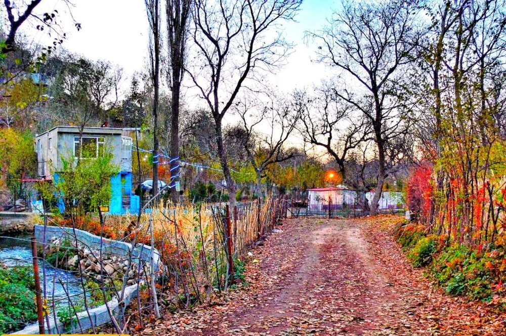 فقر دانش گردشگری به توسعه کرمانشاه لطمه زده است / دکتر قامت پرویزی