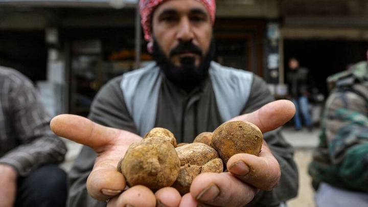 Syrian military clashes with rebels, IS kills 15 Syrian military clashes with rebels, IS kills 15
