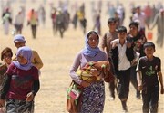 حدود یک میلیون شهروند شنگال  به دلیل ورود مجدد عناصر داعش به سمت اقلیم کردستان در حال حرکت هستند