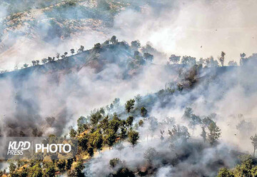 خاکستر شدن ١١٣ هکتار جنگل و مرتع/نقش پر رنگ عامل انسانی در آتش سوزی ها