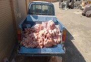 معدوم سازی ۳۷۱۵ کیلوگرم مرغ فاسد در کشتارگاه طیور مریوان