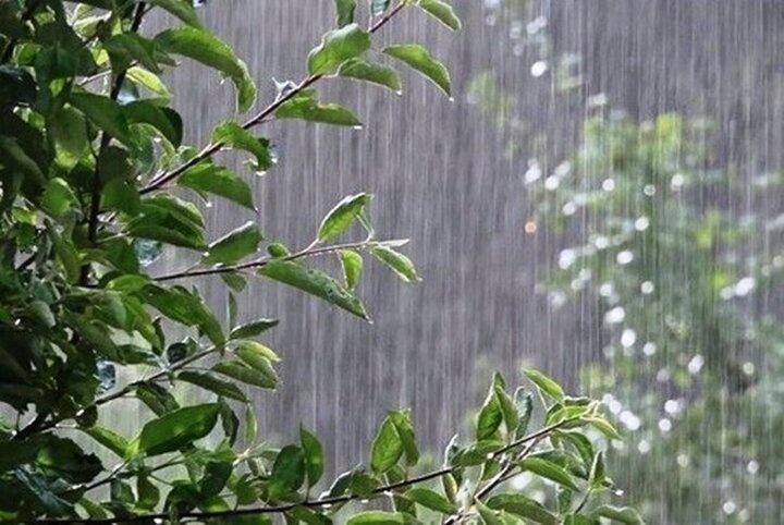 بارش باران در کردستان تا سه شنبه ادامه دارد