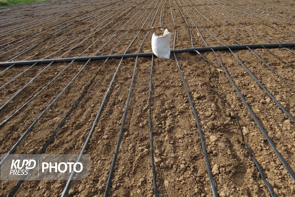 انتقال آب سد مهاباد به دریاچه ارومیه در زمان تنش آبی رد شد