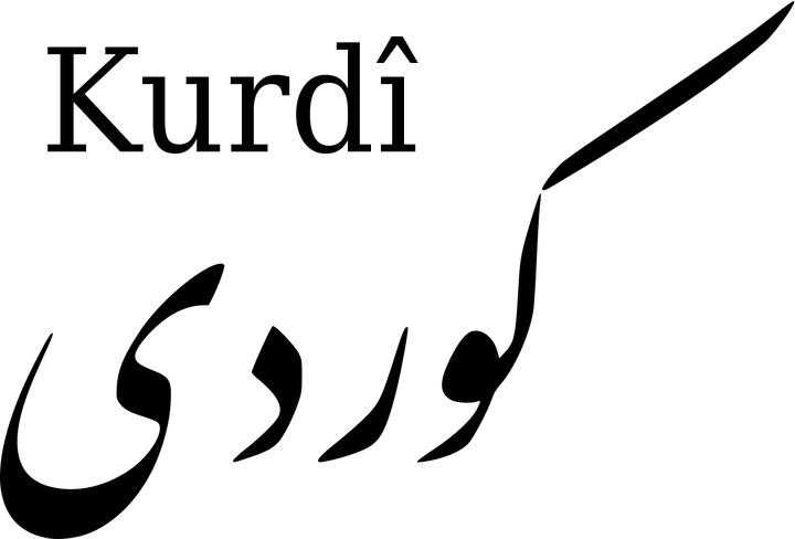 Kurdish language class bridges generations and cultures in a Moorhead classroom / Dan Gunderson