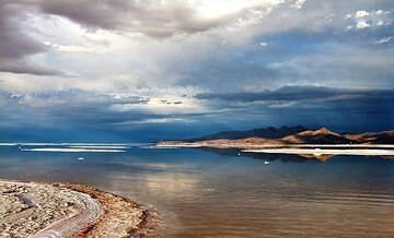 شرایط زیستگاه های پارک ملی دریاچه ارومیه مطلوب است