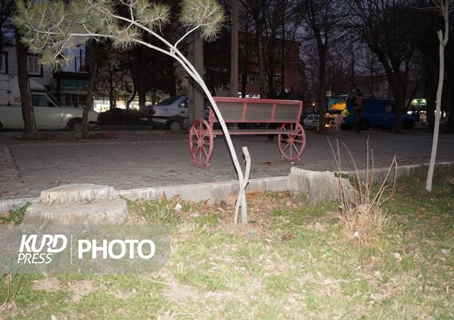 فضای سبز قروه در آغوش مرگ