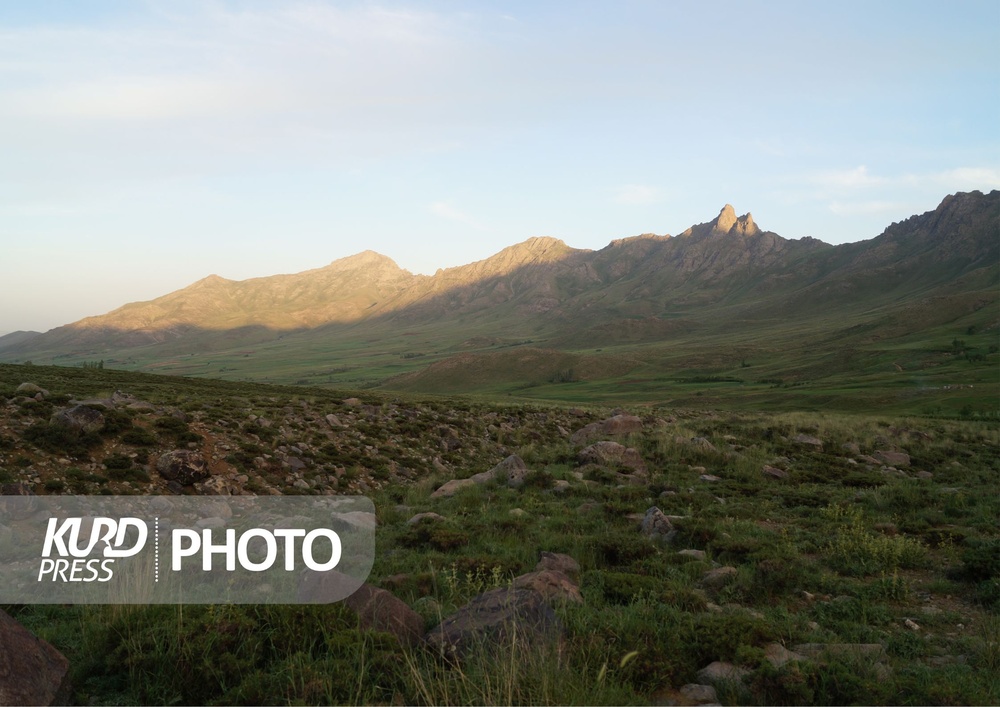 پایش آنلاین بدر و پریشان قروه/لزوم جذب نیروی محیط بان