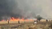 آتش سوزی های اخیر چرداول در مزارع کشاورزی رخ داد/ اتمام حجت فرماندار با ستاد بحران