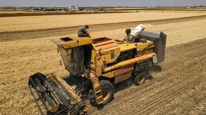 خودکفایی در تولید گندم در منطقه تحت کنترل کردهای سوریه