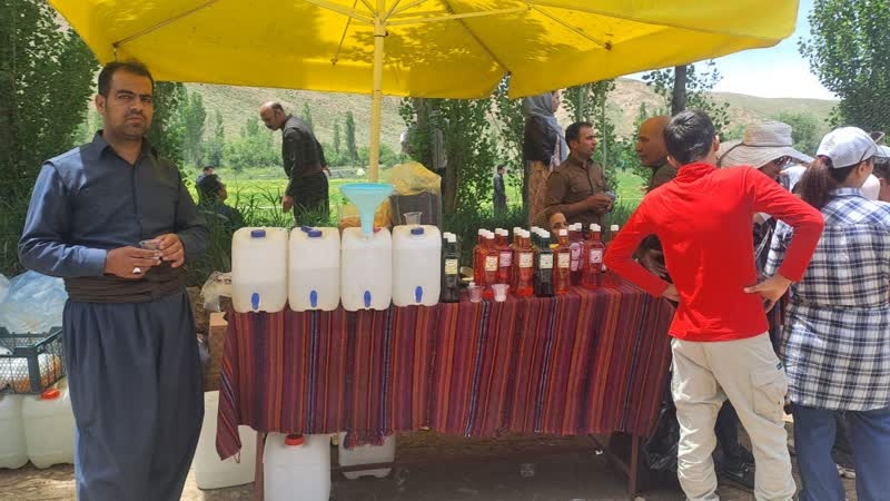 جشنواره ای به زیبایی گل های هه مروله