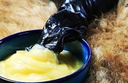 رکود رویدادها در شهر خلاق خوراکی ها/ میراث داری خوب حلقه مفقوده غذاهای محلی کرمانشاه