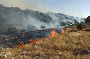 آتش سوزی جنگل و باغات سردشت ٨٥٠ میلیون خسارت به بار آورد
