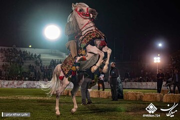 برند اسب کُرد با نام کرمانشاه پیوند خورده است