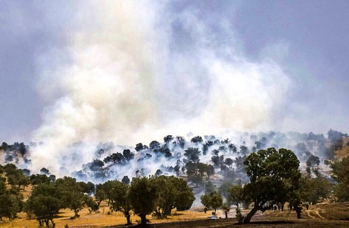 هشدار منابع طبیعی در خصوص آتش سوزی در جنگل ها و مراتع ایلام
