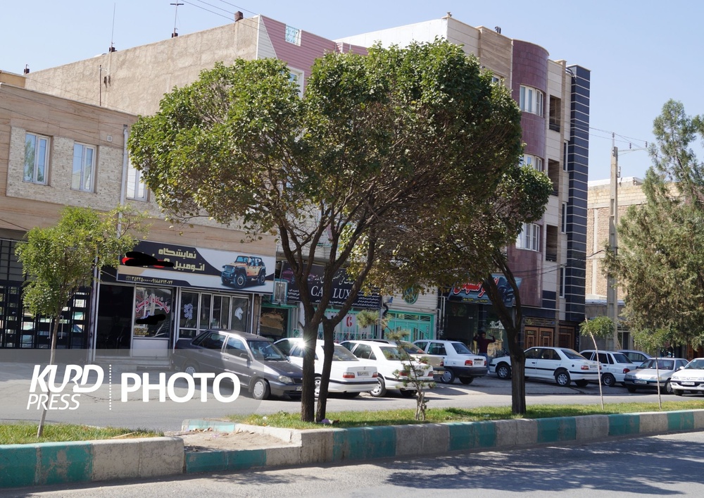 برخورد قانونی با عوامل سد معبر در قروه