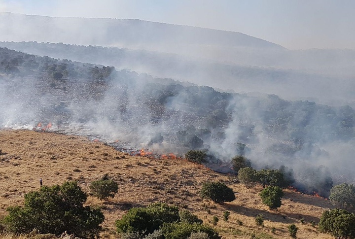 آتش در جنگل های مریوان اطفا شد/برآورد اولیه آتش سوزی ۴۵۰ هکتار