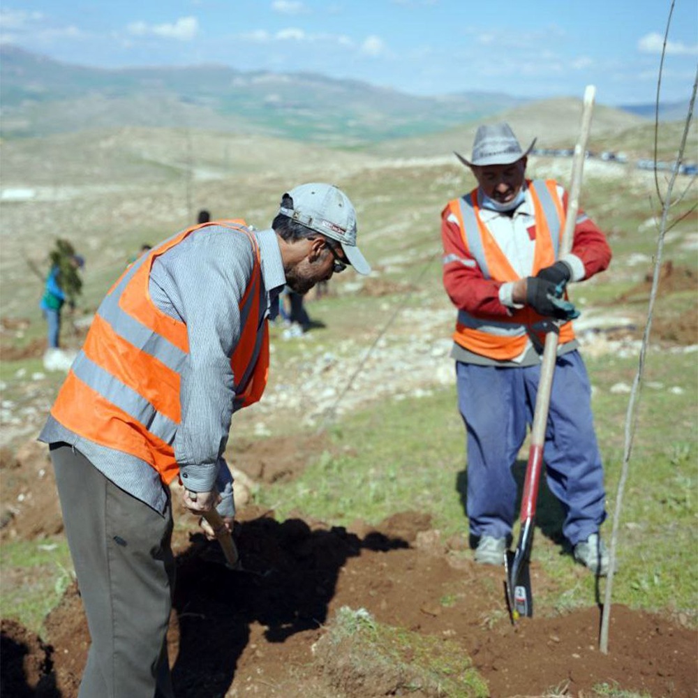 پارک جنگلی «نالشکینه» بوکان بزرگترین پروژه تفریحی و گردشگری می شود