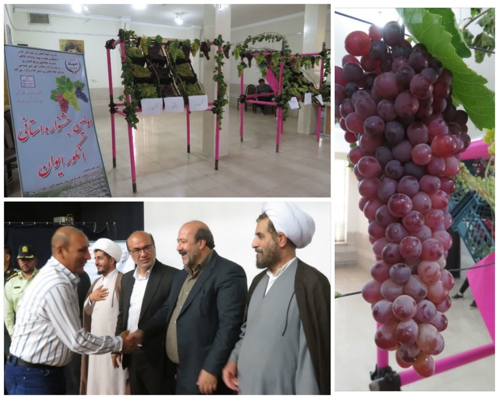 برگزاری اولین جشنواره انگور استان ایلام در ایوان