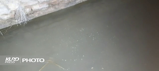 «پویازرکان»، حقابه کشاورزی را هورت می کشد