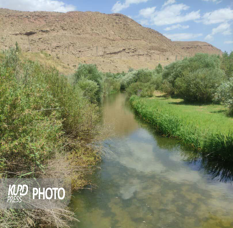 «پویازرکان»، حقابه کشاورزی را هورت می کشد
