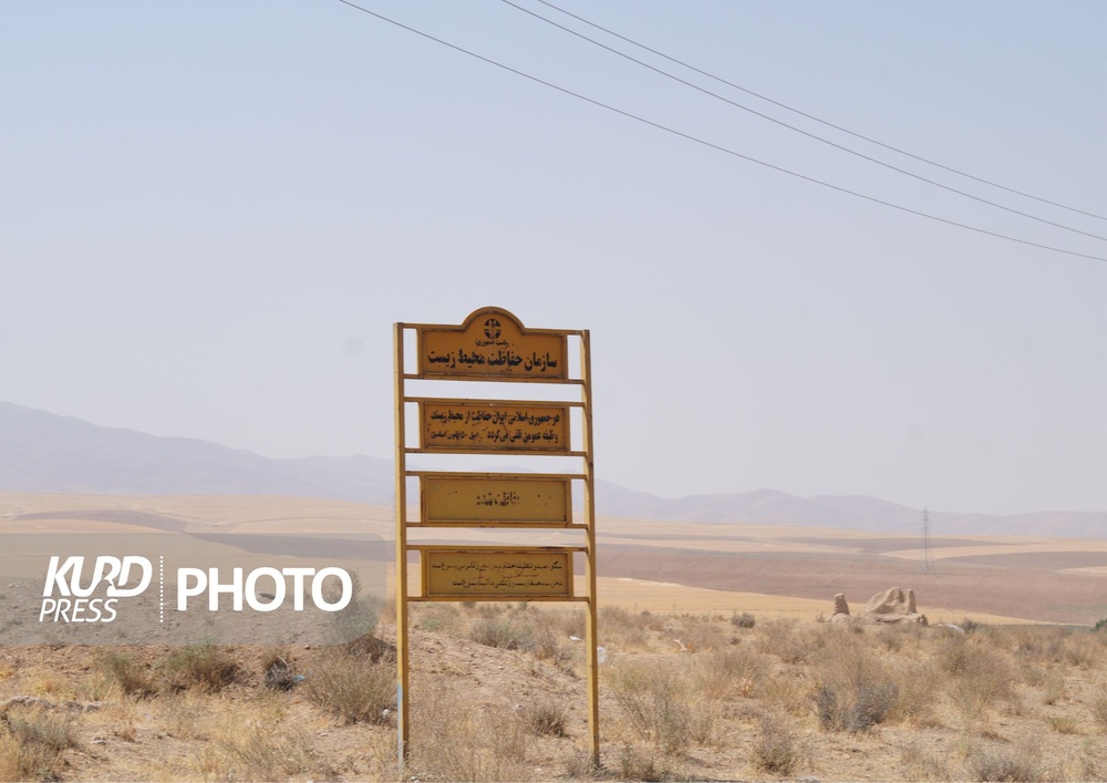 جنگ سولچه؛ کتابی برای عبرت گرفتن از تاریخ