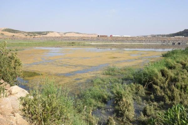 گسترش آلودگی و بیماری‌ها در کوبانی به علت قطع آب رود فرات توسط ترکیه