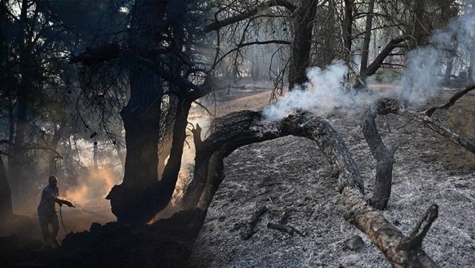 تداوم آتش سوزی در چاناق قلعه: خاکستر شدن 5 هزار هکتار جنگل/تخلیه 9 روستا