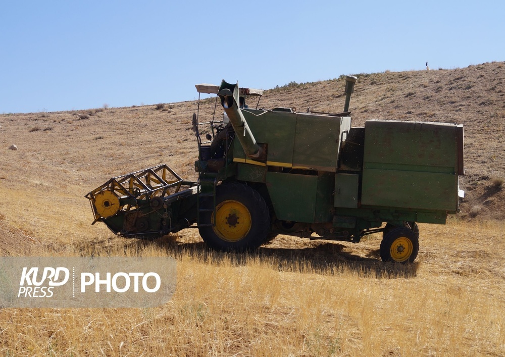 طعم تلخ وعده سرخرمن