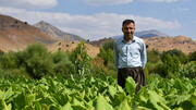 ارزیابی سیاست های اقلیم کردستان عراق در بخش کشاورزی