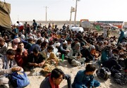 بازداشت و دیپورت مهاجران قاچاقی در ترکیه ادامه دارد