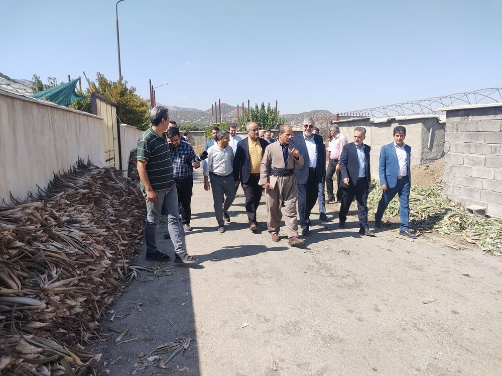 چندین طرح تولیدی و کشاورزی در سروآباد و مریوان مورد بازدید قرار گرفت