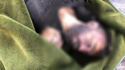 کشته شدن یک شهروند کرد سوریه در مرز ترکیه 