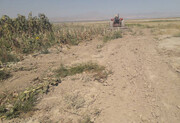 تصرف غیرقانونی ٦٨٧ هکتار اراضی ملی در منطقه آزاد ماکو/٤٧٣ هکتار خلع ید شد