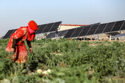گسترش استفاده از انرژی خورشیدی در مناطق تحت کنترل کردهای سوریه
