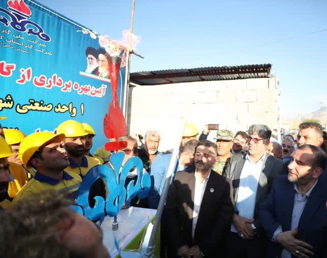   ۸ هزار علمک گاز در کرمانشاه نصب شد 