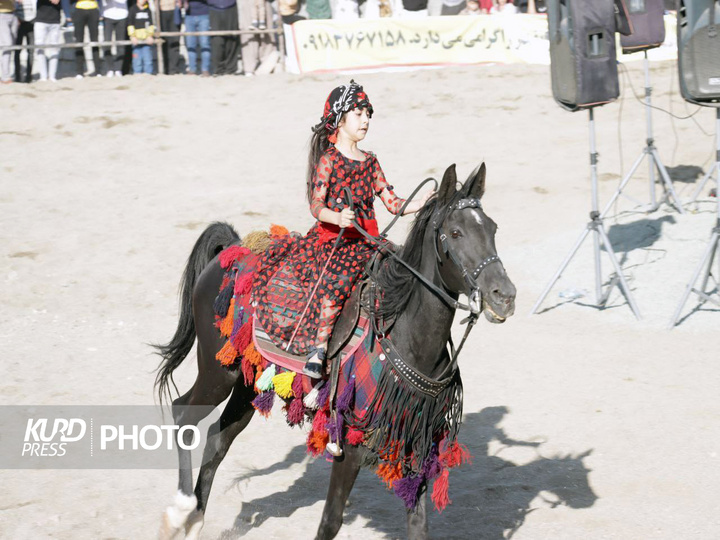 جشنواره اسب کردی
