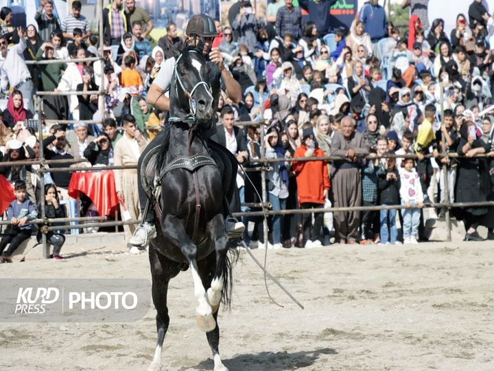 جشنواره اسب کردی