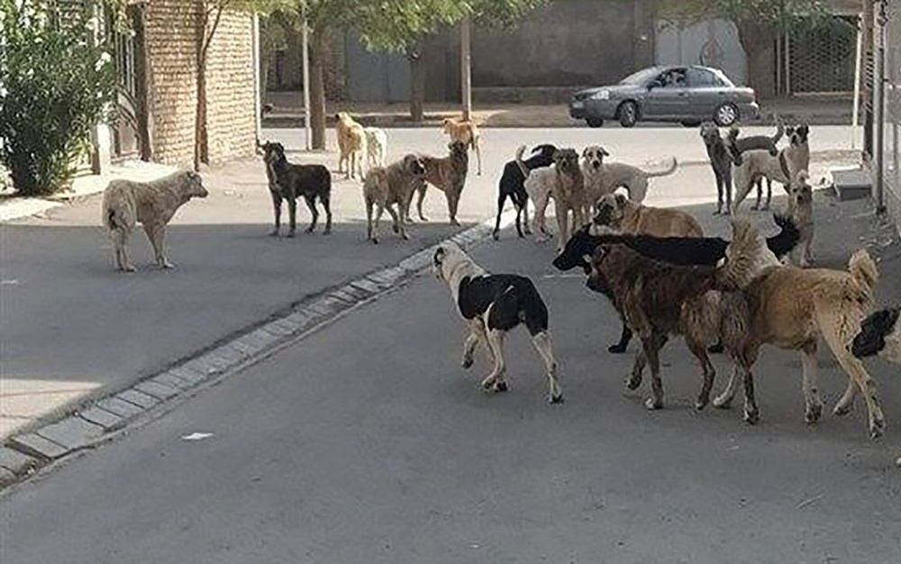 ارومیه؛ شهری نا امن برای کودکان