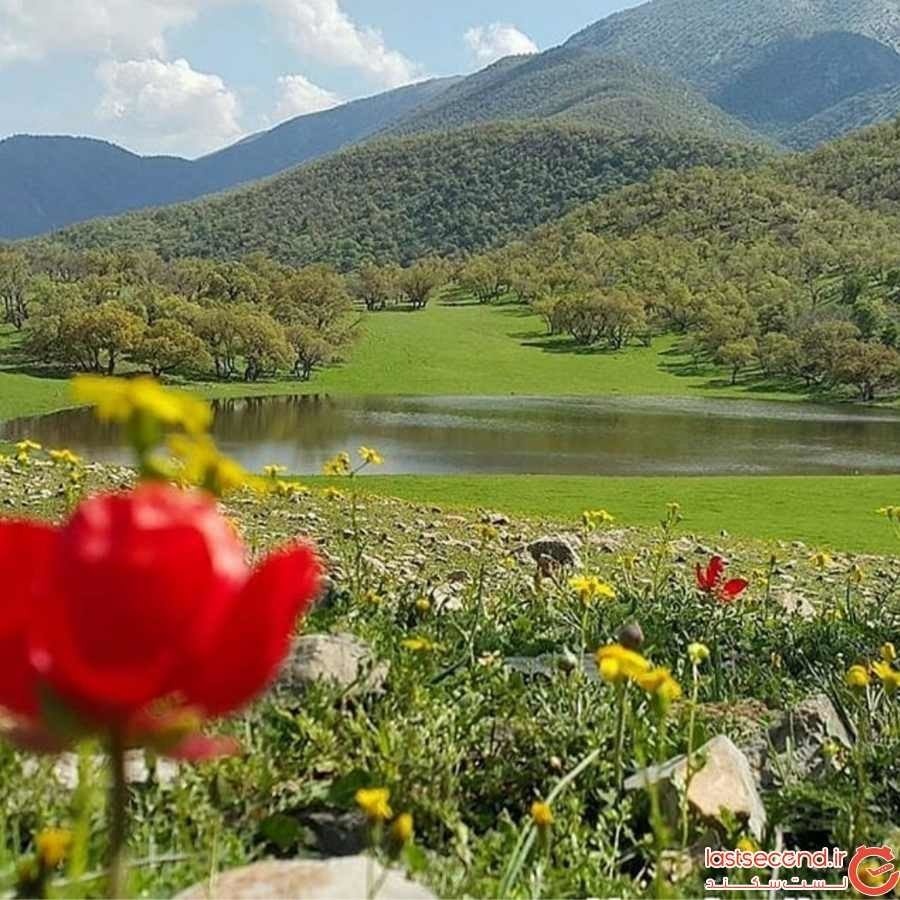 بوزین و مرهخیل، نگین تنوع زیستی غرب کشور