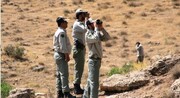 ۲۴۵ متخلف شکار و صید در کردستان دستگیر شده اند