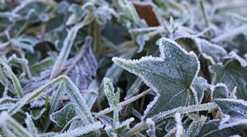 دما در آذربایجان غربی تا ١٠ درجه کاهش می یابد