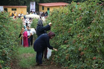 بازدید بیش از ٩٩٩ هزار گردشگری نوروزی از آذربایجان غربی