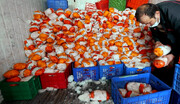 توزیع ۲۰ تن مرغ منجمد در فروشگاه های استان کرمانشاه