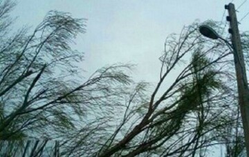 وزش تندباد در مهاباد/ سرعت باد به ٦٠ کیلومتر در ساعت رسید