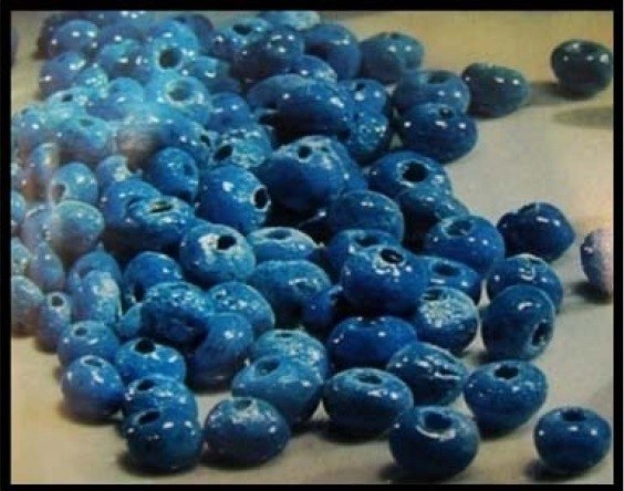 نقش «گژگ کاو» در باورهای مردم ایلام / رائد ناصری فر