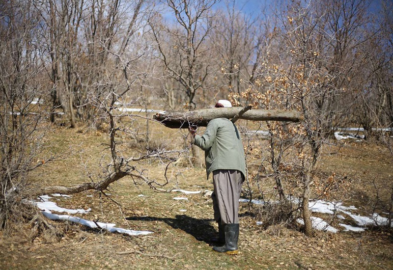 تزریق گرما به قلب کوه های یخی زاگرس