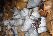 قاچاقچیان زغال در مریوان دستگیر شدند
