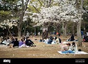 فشار بر نهادهای ژاپنی برای لغو مراسم نوروز کردها