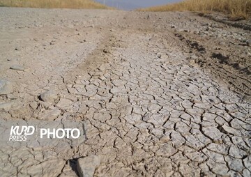 روند صعودی خشکسالی در قروه ادامه دارد